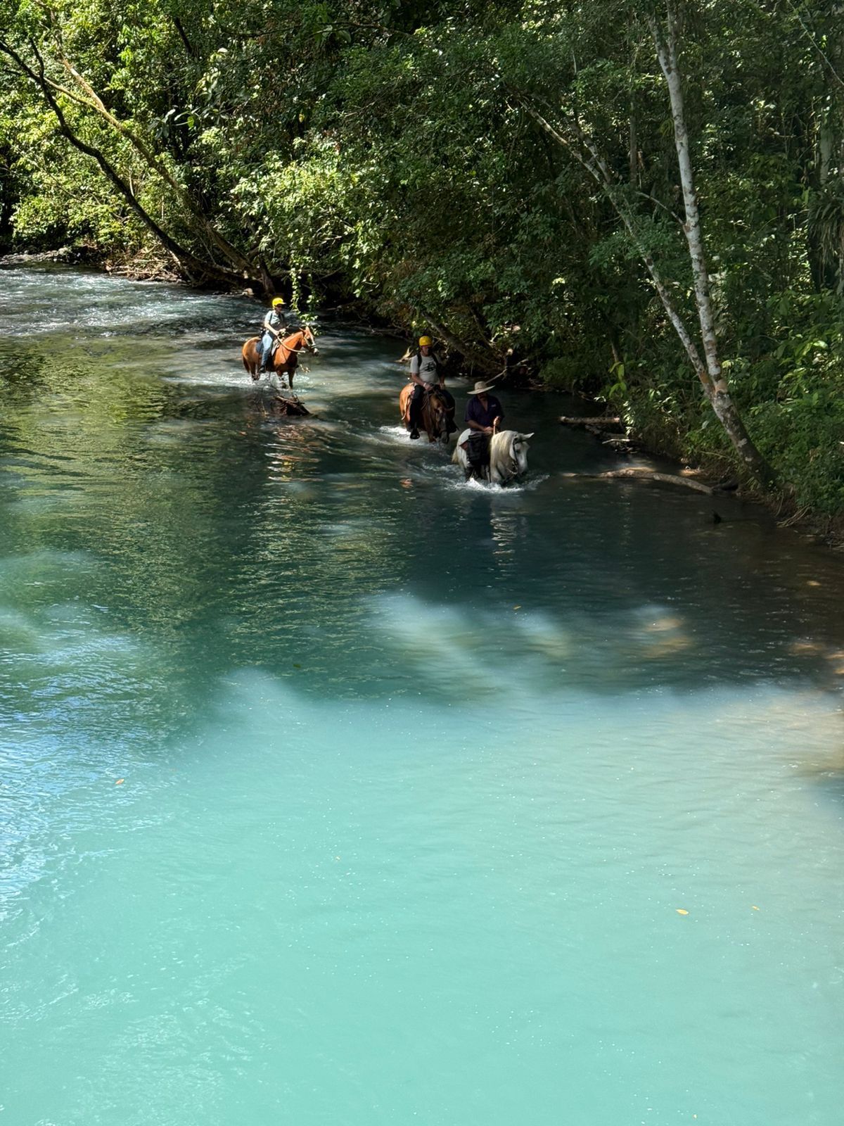 Horseback riders crossing a tropical river surrounded by rainforest during an unforgettable Costa Rica nature excursion