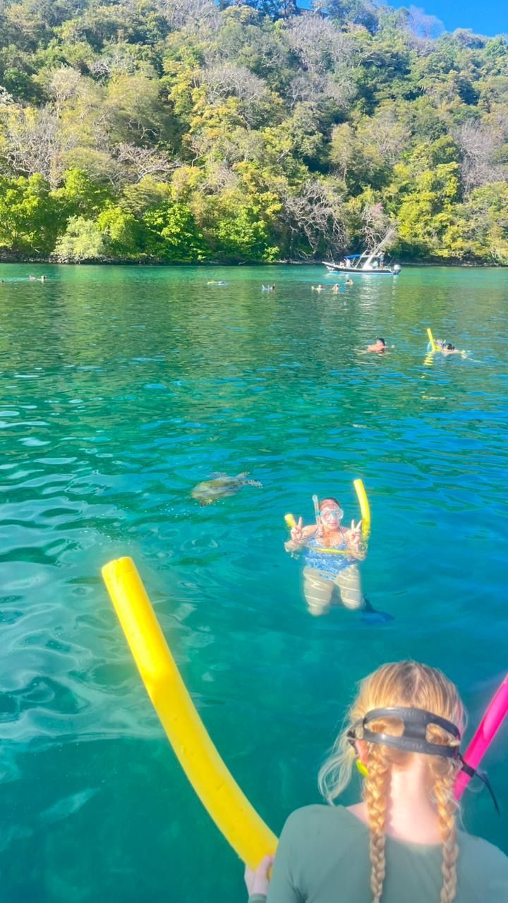 Snorkeling during a Private Catamaran Tour in Guanacaste, Costa Rica with tropical marine wildlife.