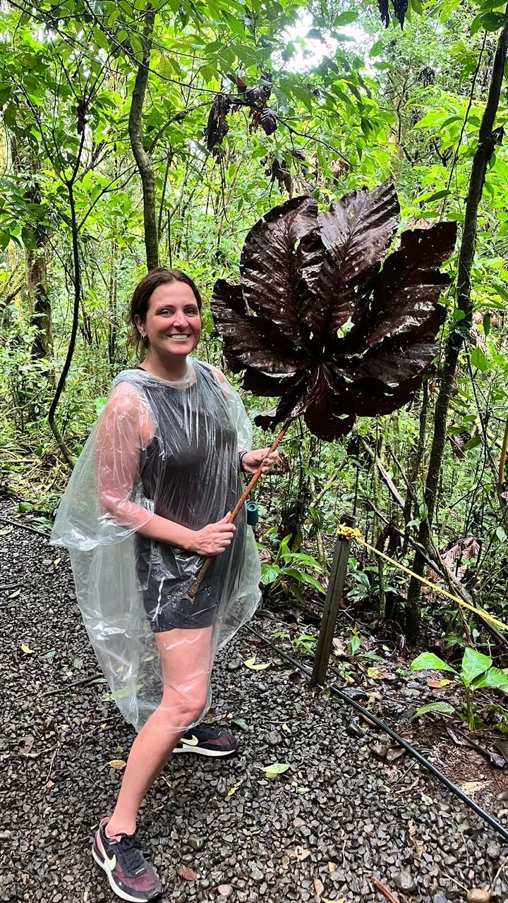 Visitor exploring a tropical rainforest during a private guided wildlife tour in Costa Rica.