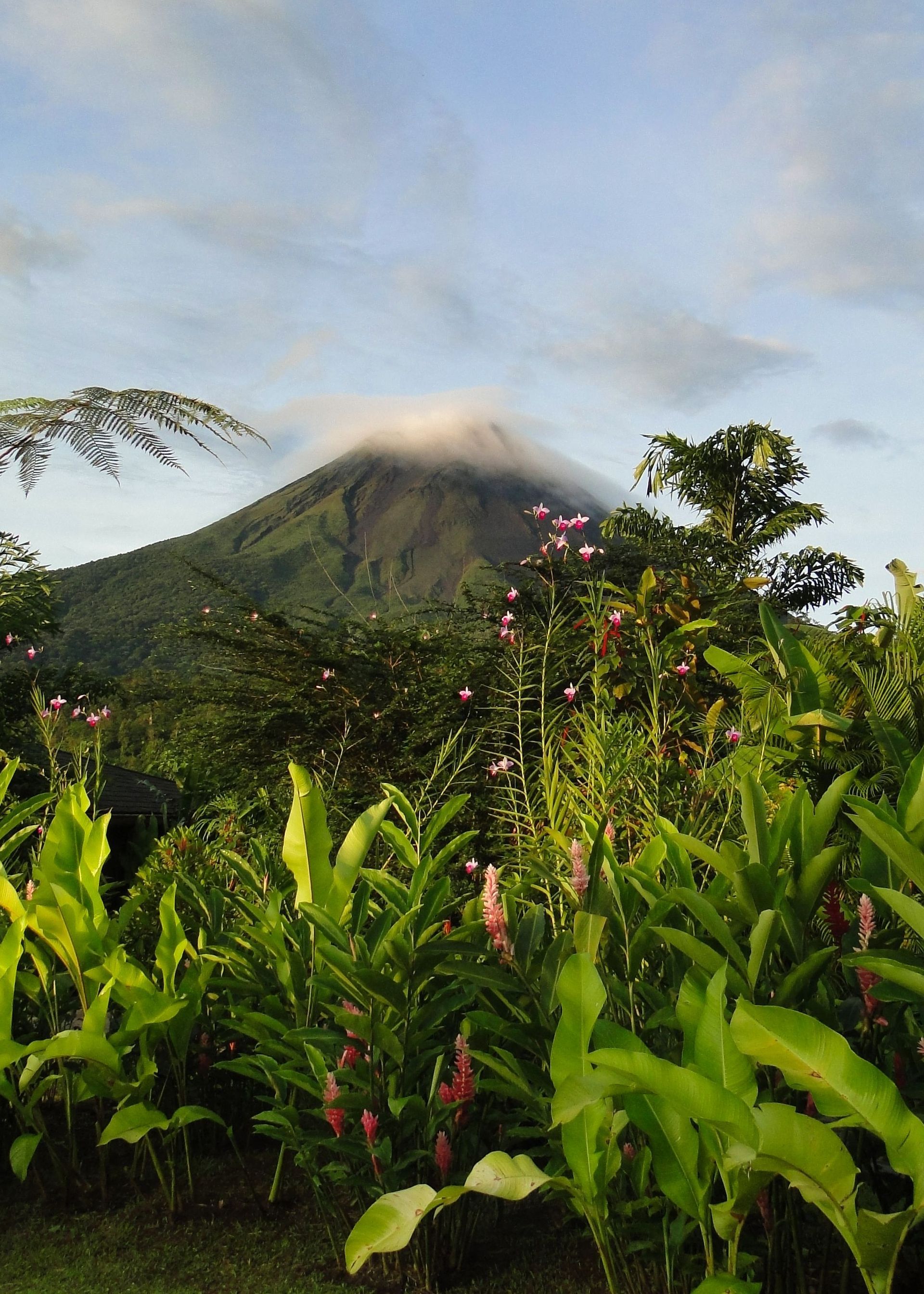 Costa Rica volcano and tropical landscape during a private excursion from RIU Palace Costa Rica 