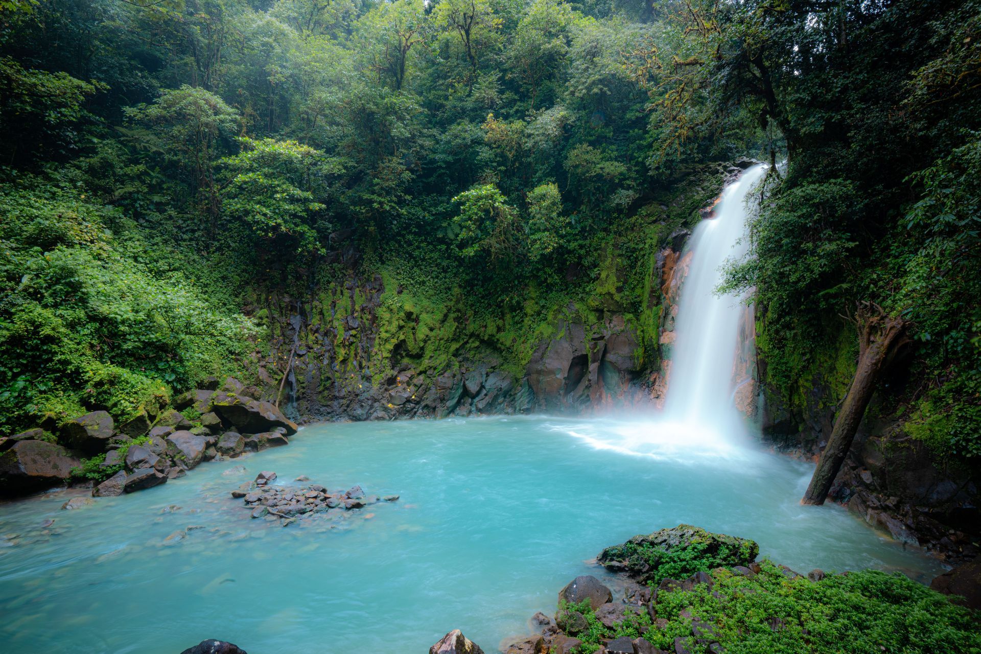 Rio Celeste Waterfall in Tenorio Volcano National Park Costa Rica with its famous turquoise blue river
