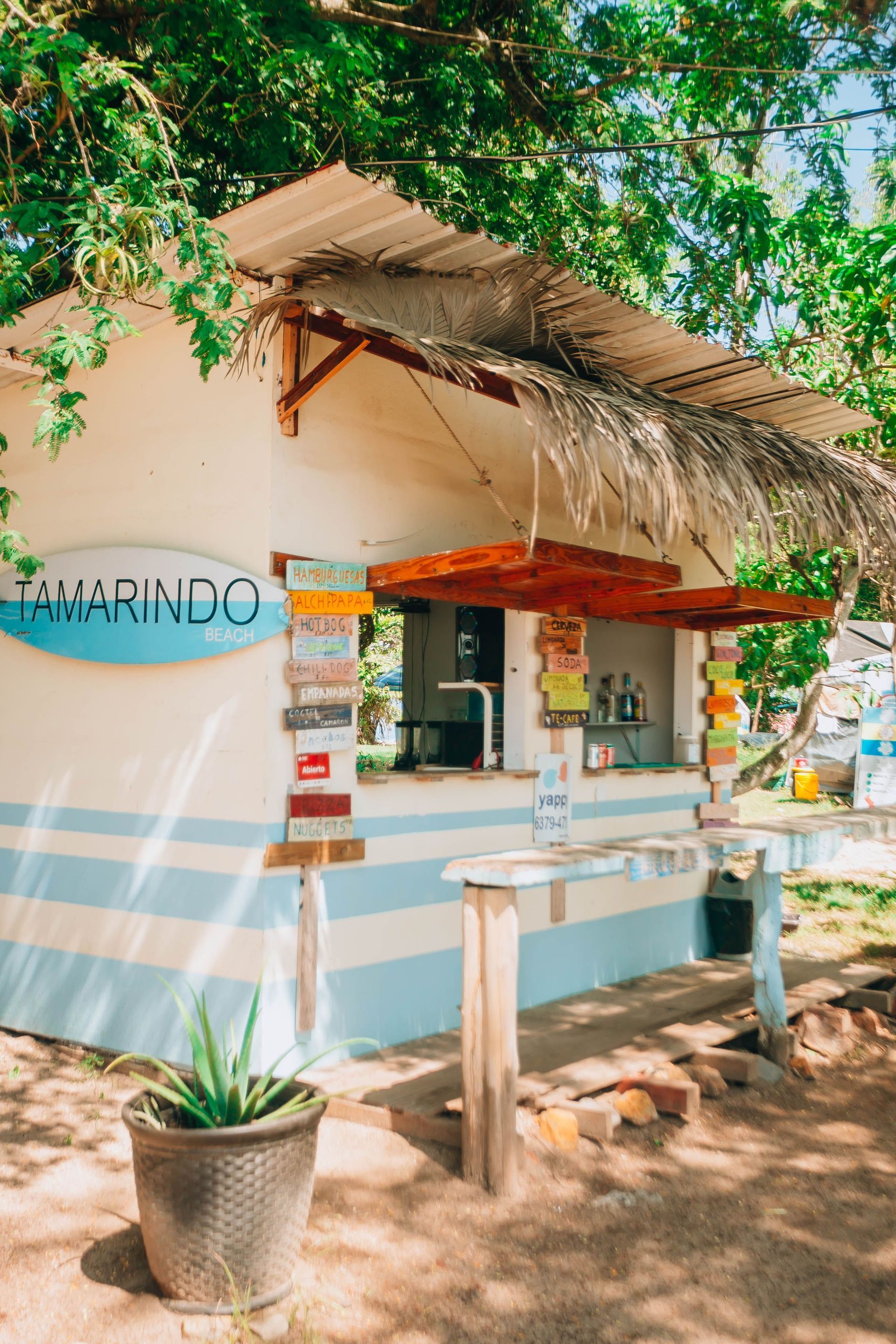 Tropical beach scene in Tamarindo Costa Rica with palm trees and colorful beachfront surroundings.