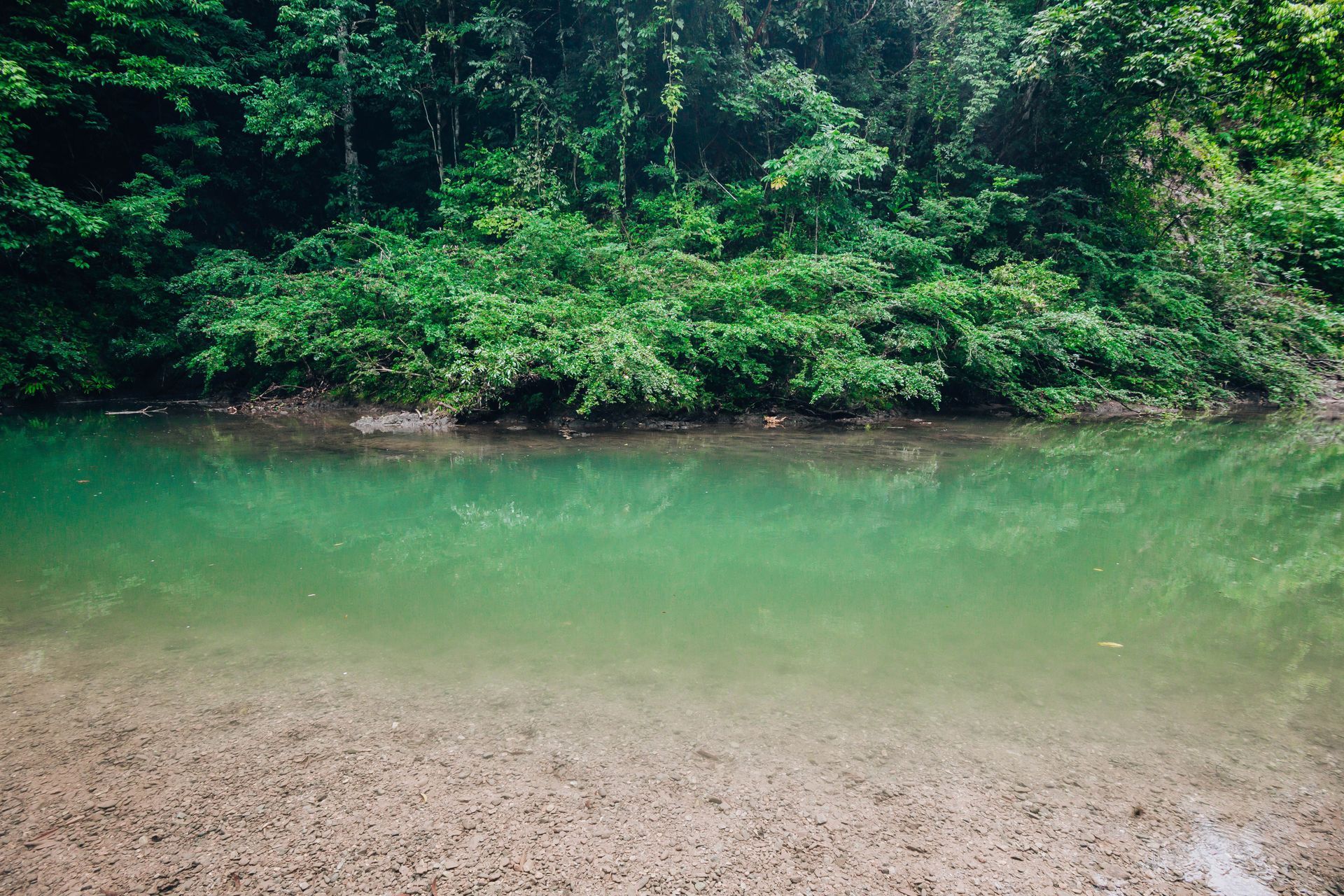 Turquoise waters of Rio Celeste flowing through Tenorio National Park in Costa Rica.