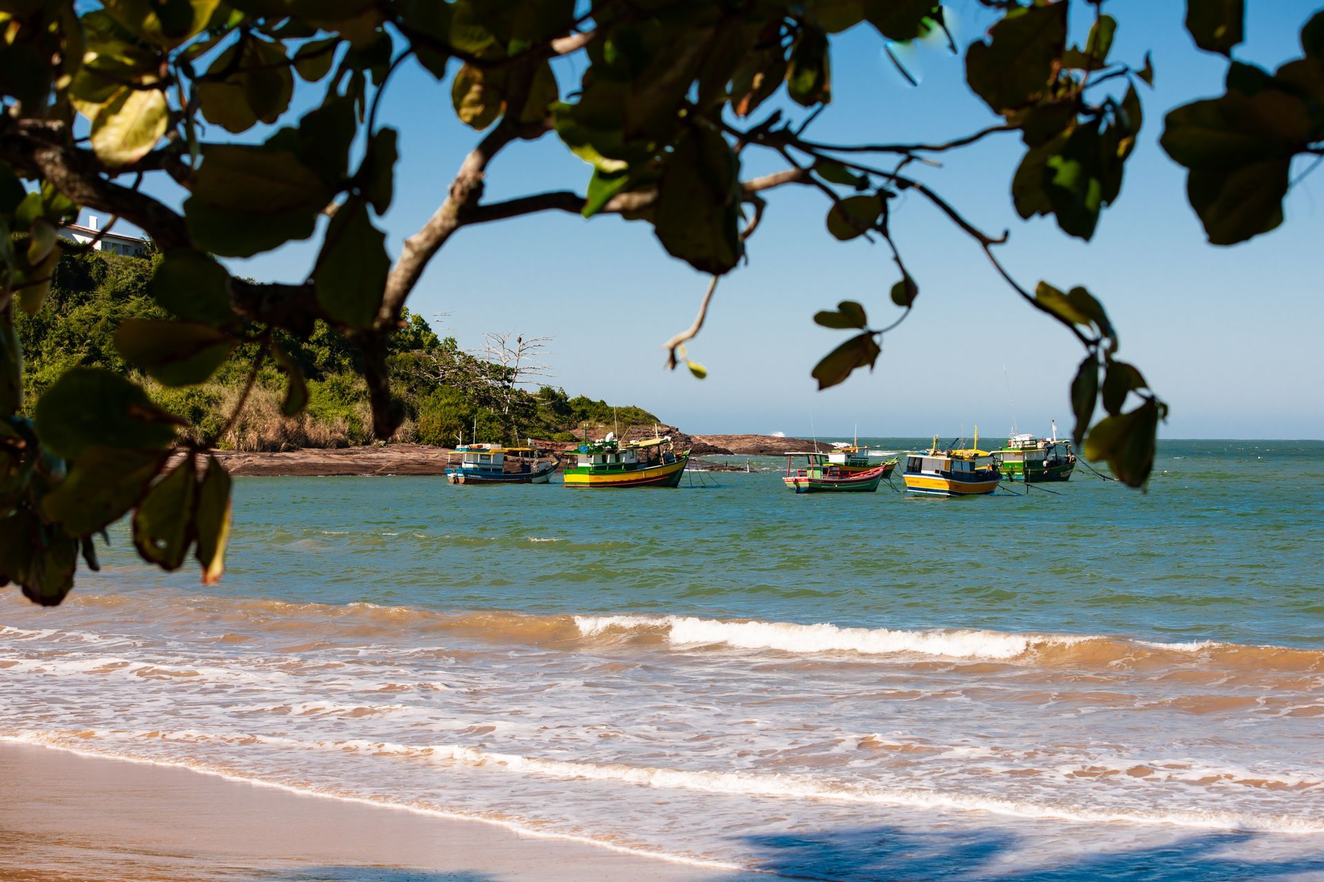 Uma praia com barcos na água e uma árvore em primeiro plano Pousada Pau Brasil