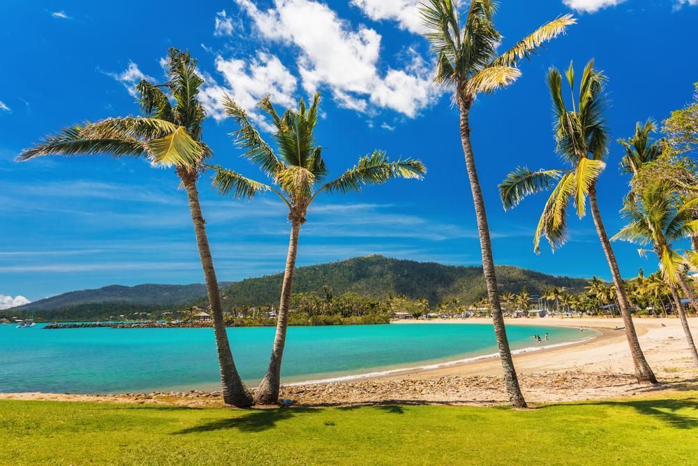 A Tropical Beach with Palm Trees and Mountains in The Background — Tropical Locksmiths in Airlie Beach, QLD