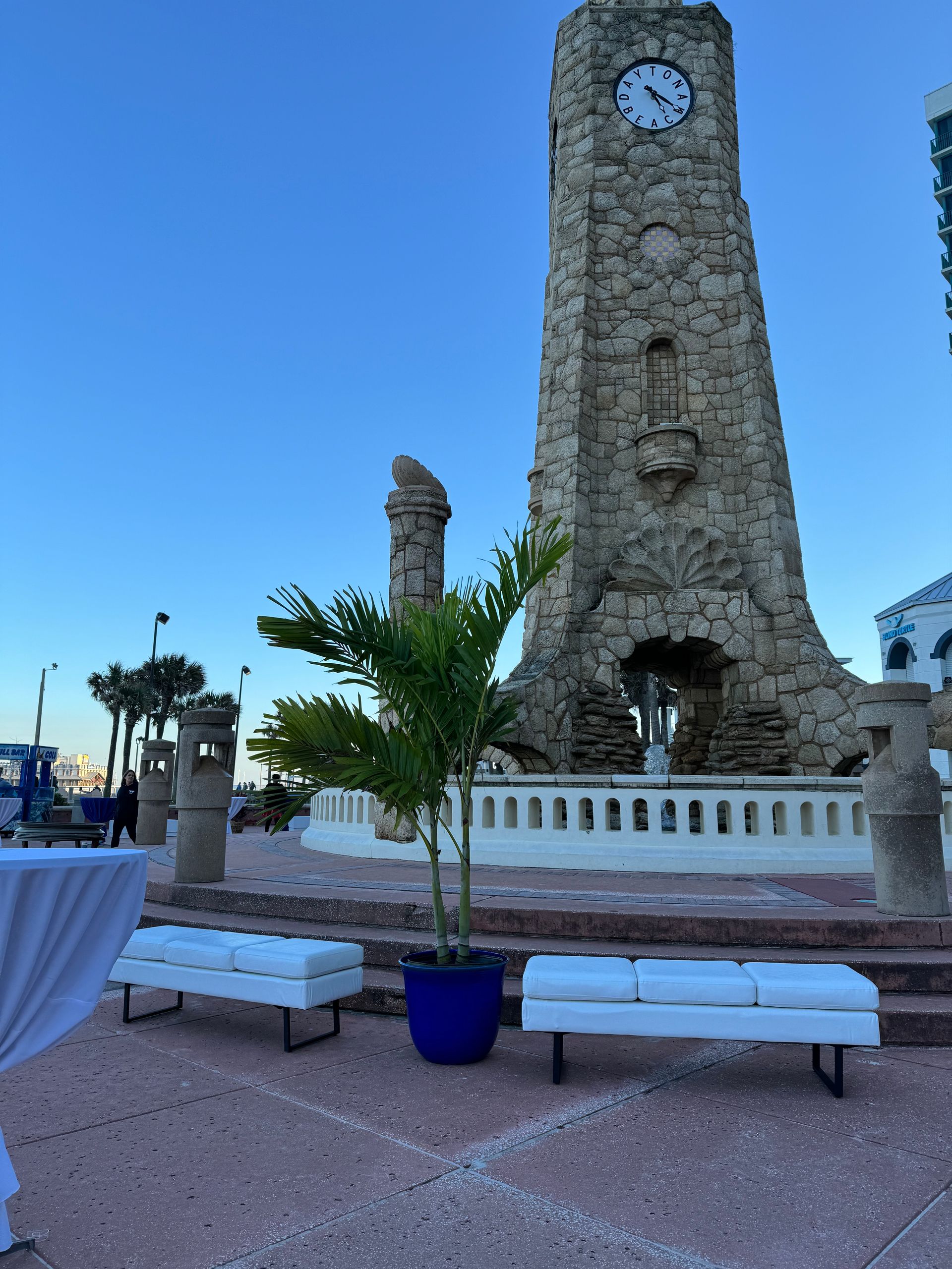 White leather Benches with a palm tree decor at a beach themed event