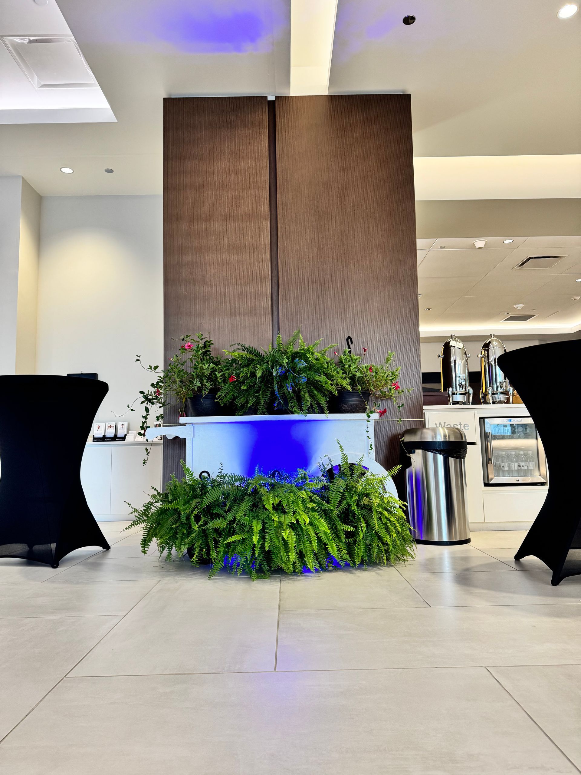 Indoor plant arrangement with ferns and flowers, illuminated by blue lighting.
