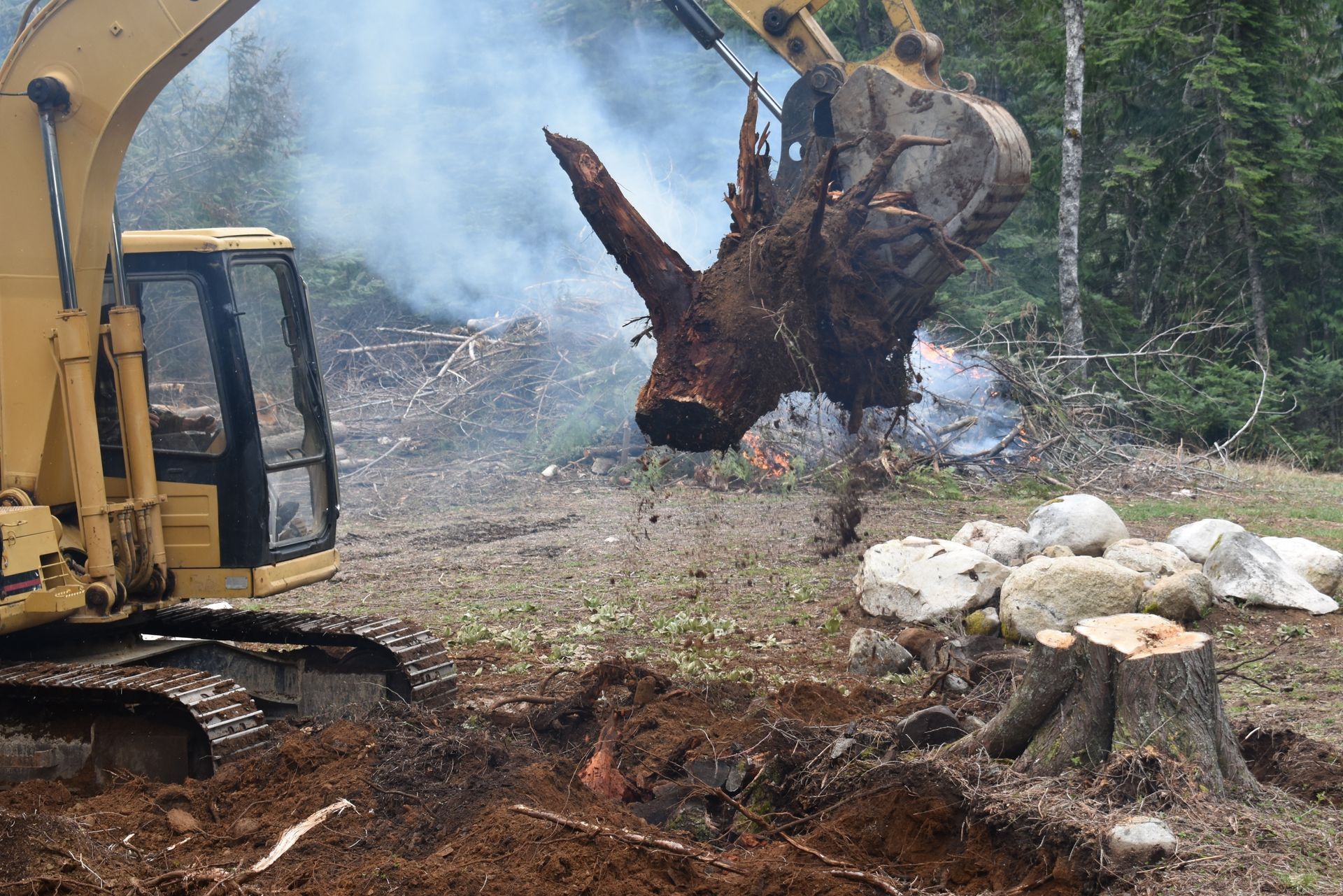 a small track hoe performing stump removal by lifting a stump from the ground with it's bucket.