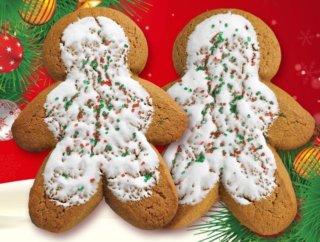 two christmas gingerbread cookies