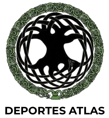 Silueta de árbol negro con ramas retorcidas dentro de un borde circular verde con nudo celta.