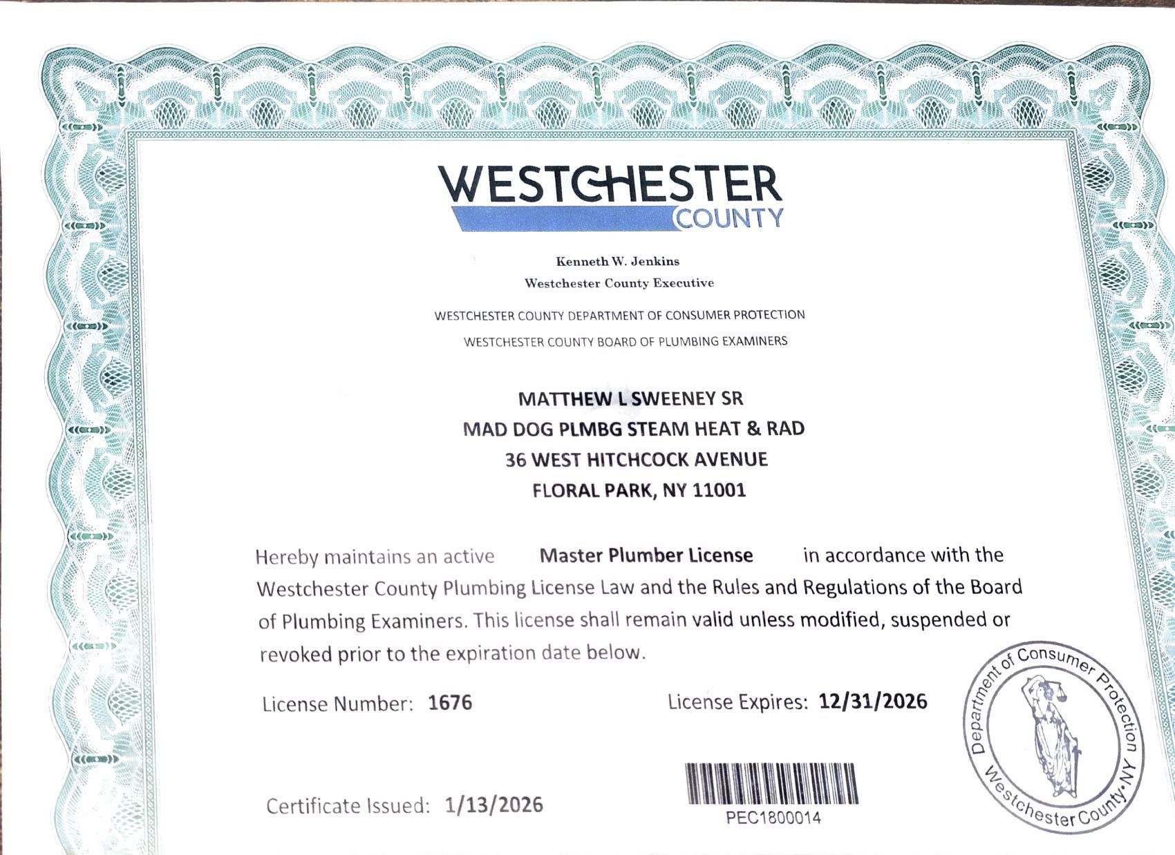 Master Plumber Westchester County for Steam Heating and Radiators|Matt Sweeney Sr., Mad Dog Plumbing