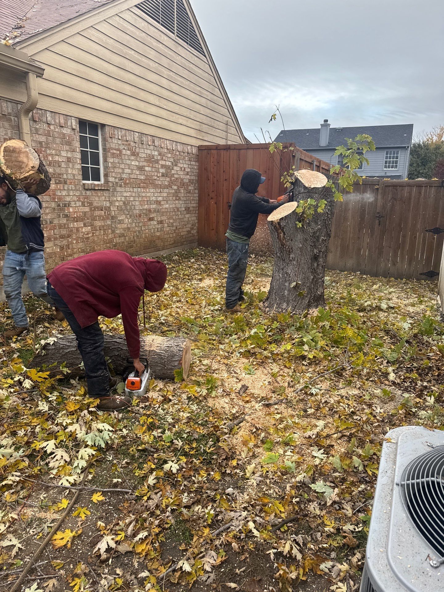 A group of men are cutting a tree stump in a backyard.
