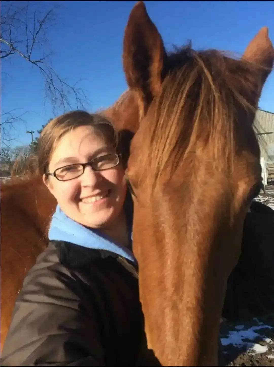 Smiling person in glasses taking a selfie beside a brown horse outdoors in sunlight
