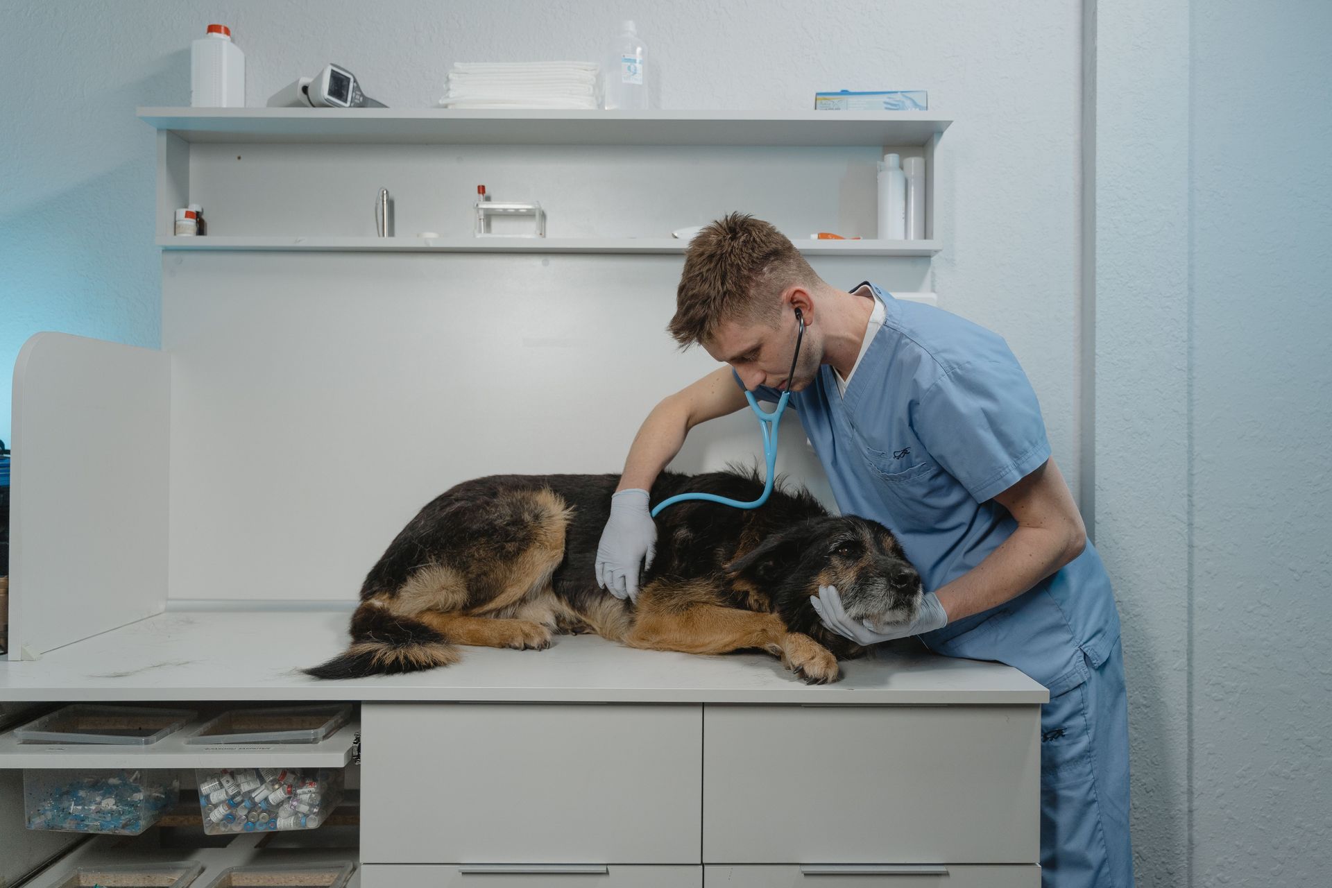 Sick Pet Care