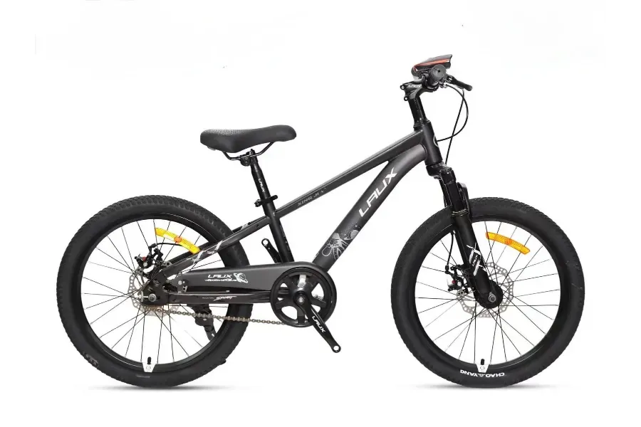 אופני ילדים LAUX CZ-100 20