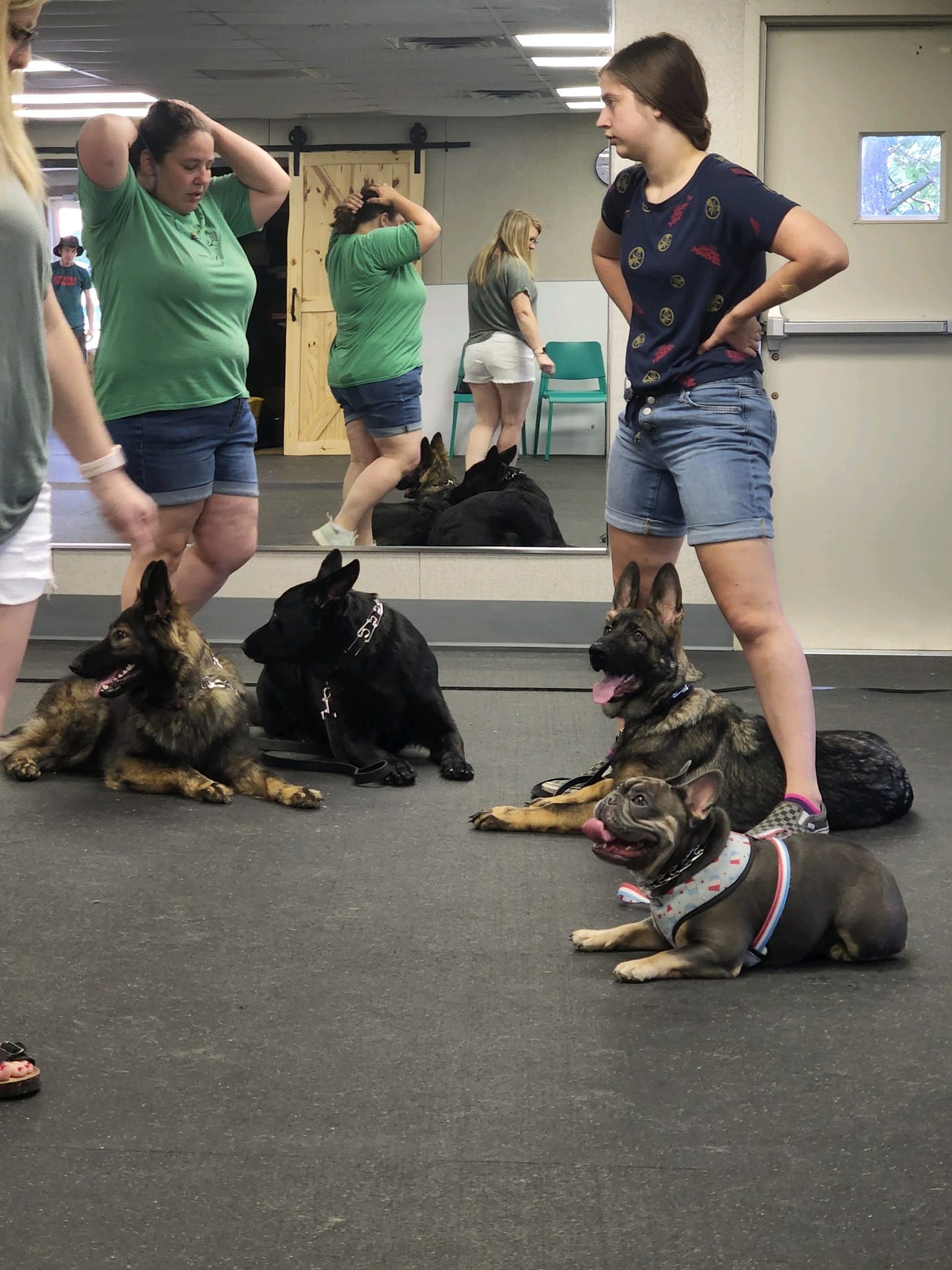 Dog Training Mooresville, IN 3178311869