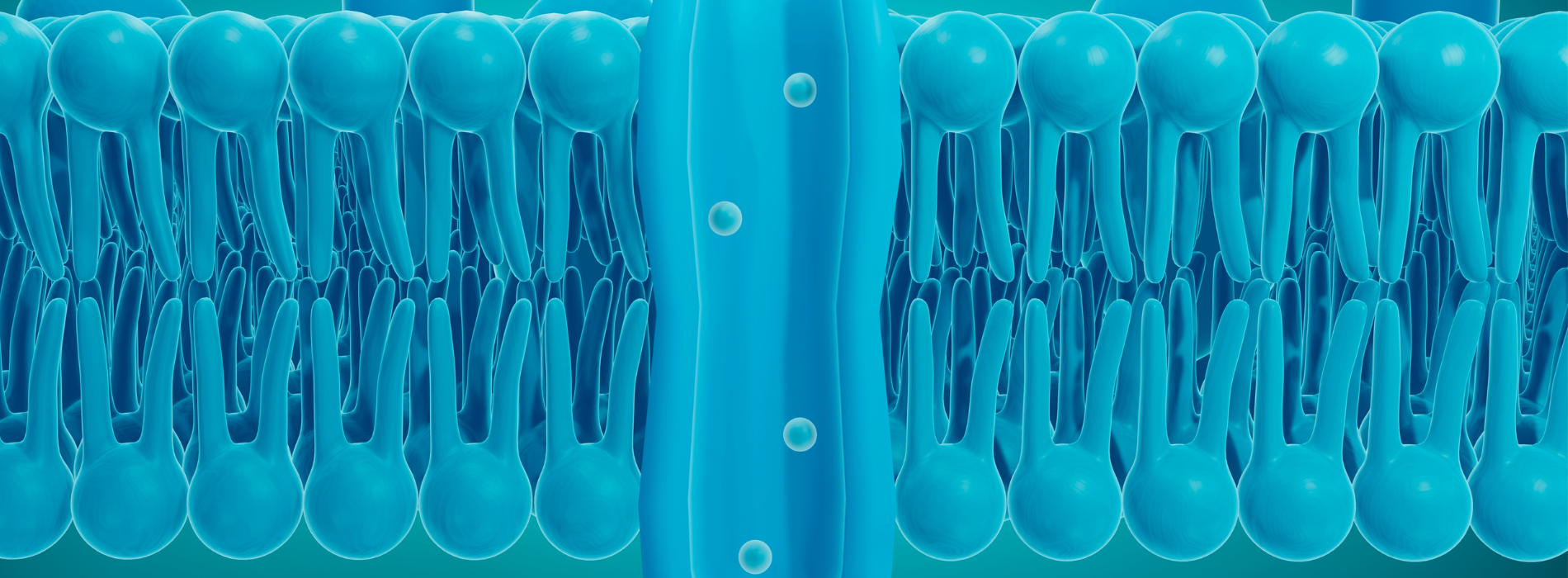 The Lipid Clinic | South Dayton Metabolic Center