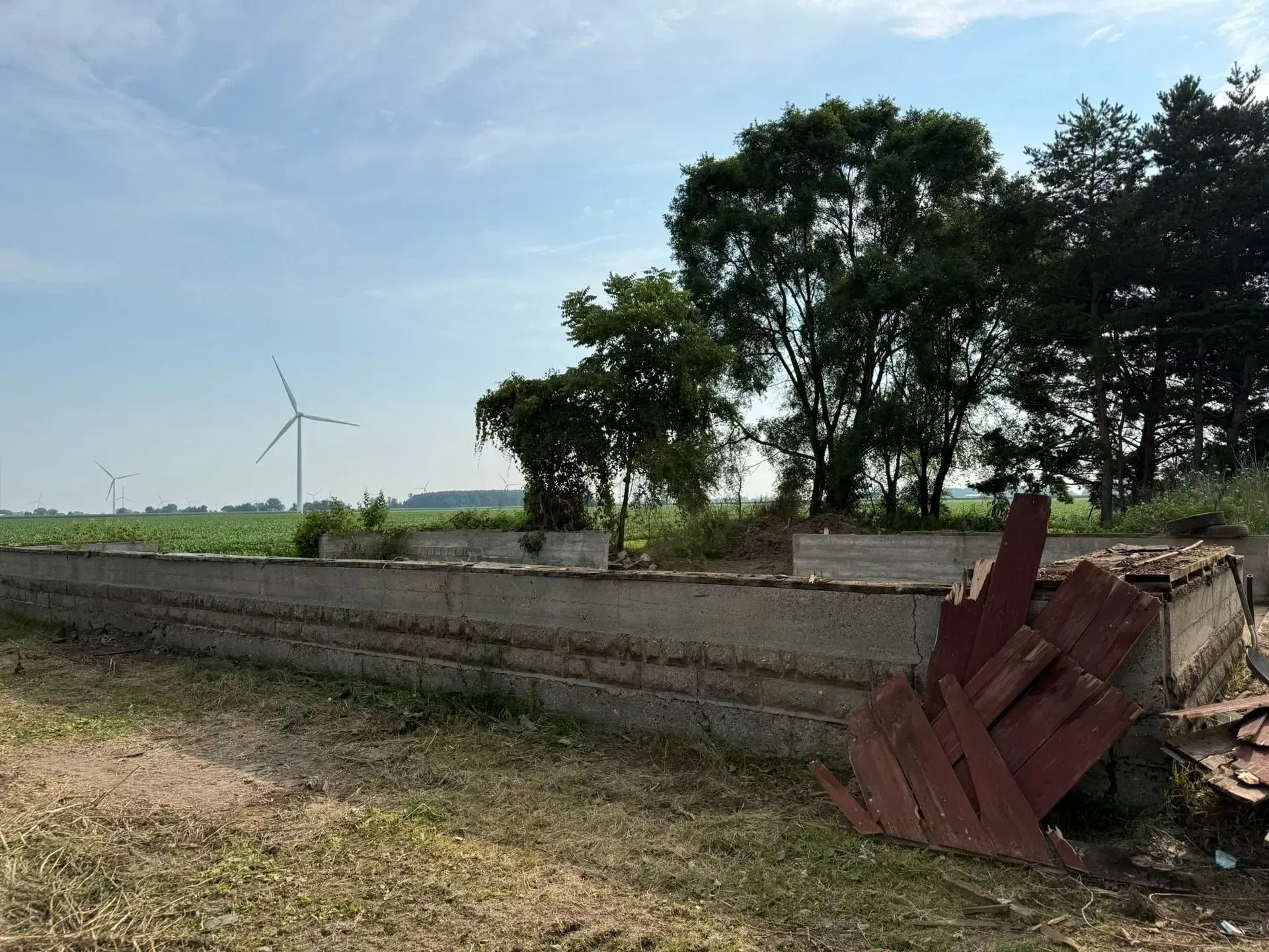Rural field with a concrete wall, trees, and a wind turbine under a clear blue sky