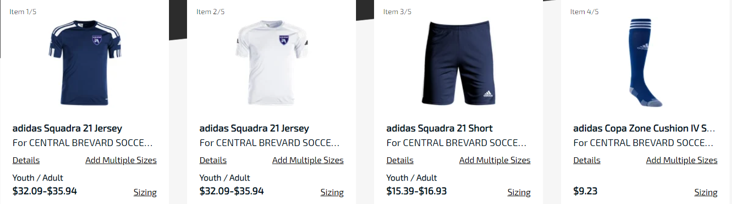 Online store product grid showing blue and white shirts, a top, shorts, and a cap with prices.