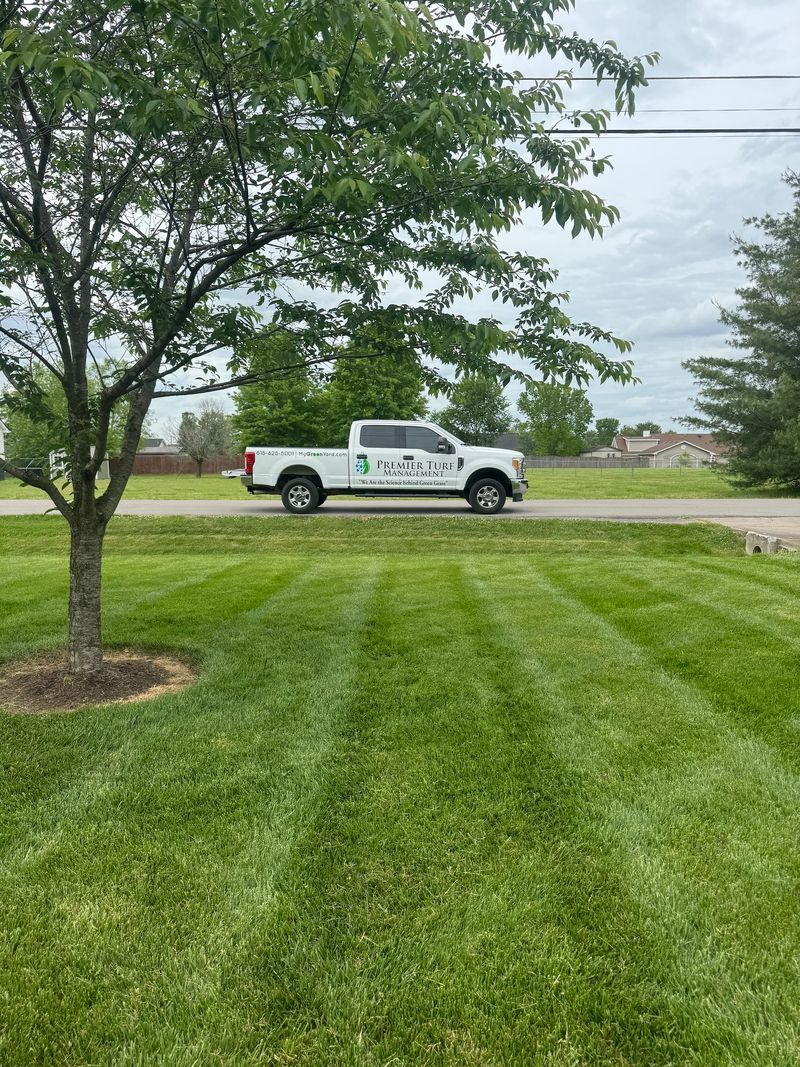 White service truck parked by a tree beside a freshly mowed green lawn and road