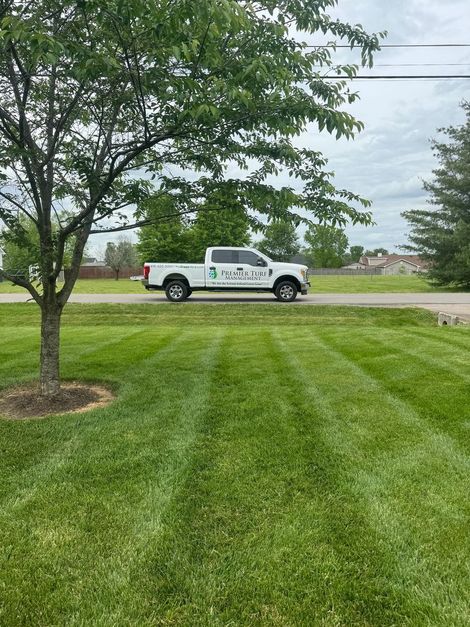 White service truck parked by a tree beside a freshly mowed green lawn and road
