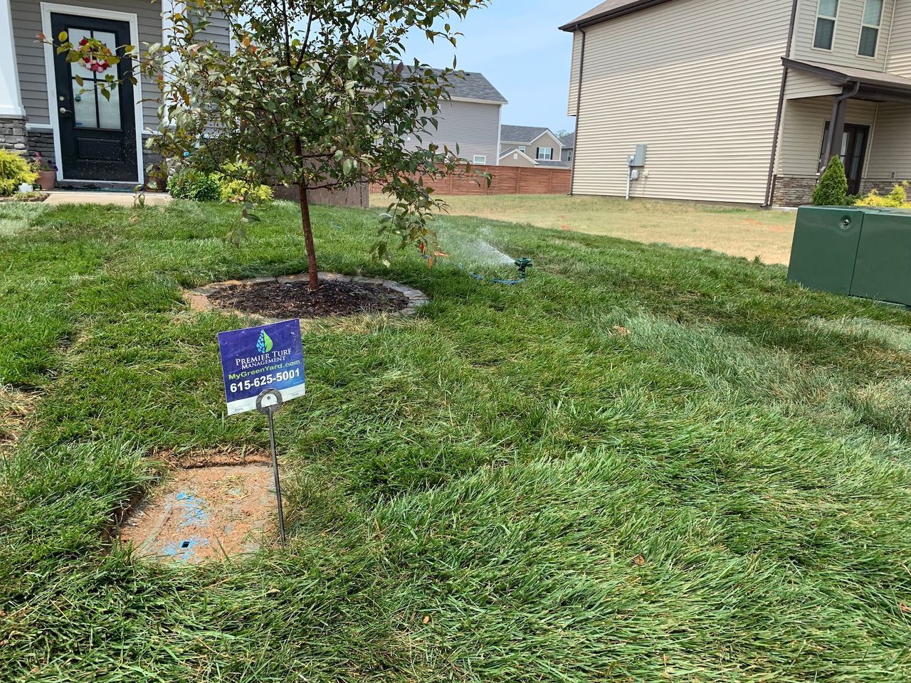 Suburban front yard with a young tree, grass, and a small memorial sign near a house walkway