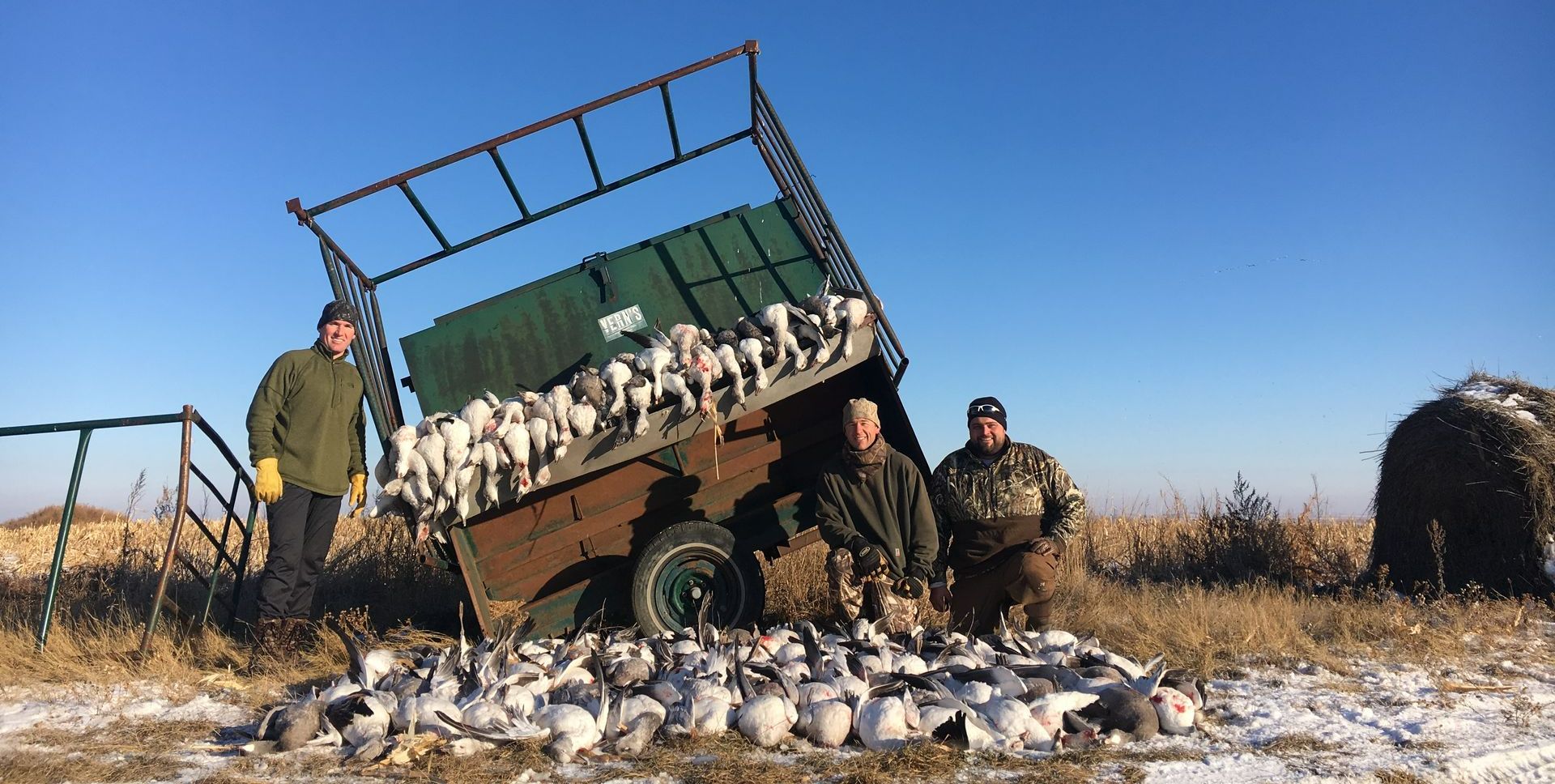 North Dakota Snow Goose Hunts - Fall & Spring Hunting Guide