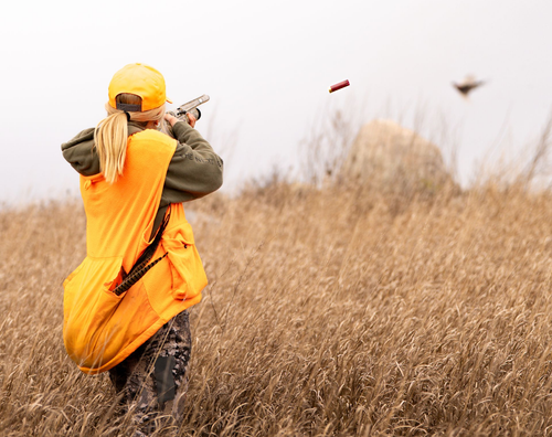 Ringneck Resort Pheasant Hunting
