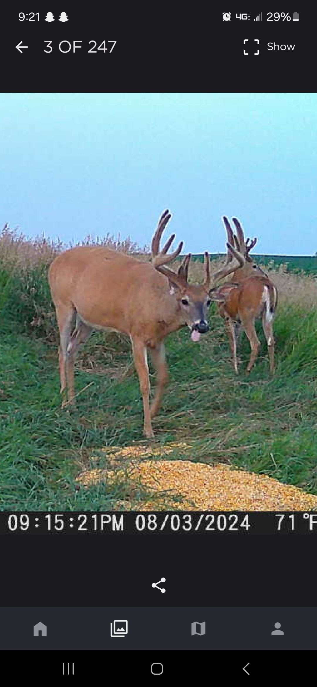 Deer Hunting in ND