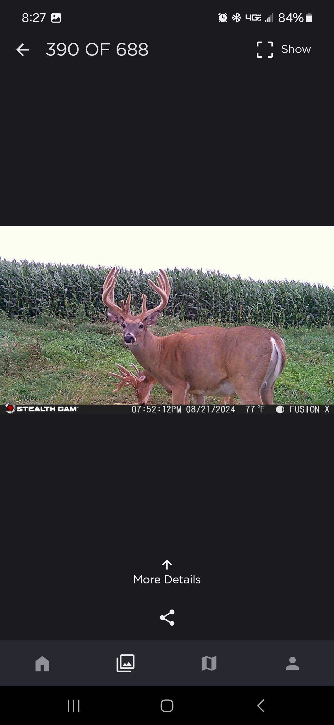 deer hunts ND