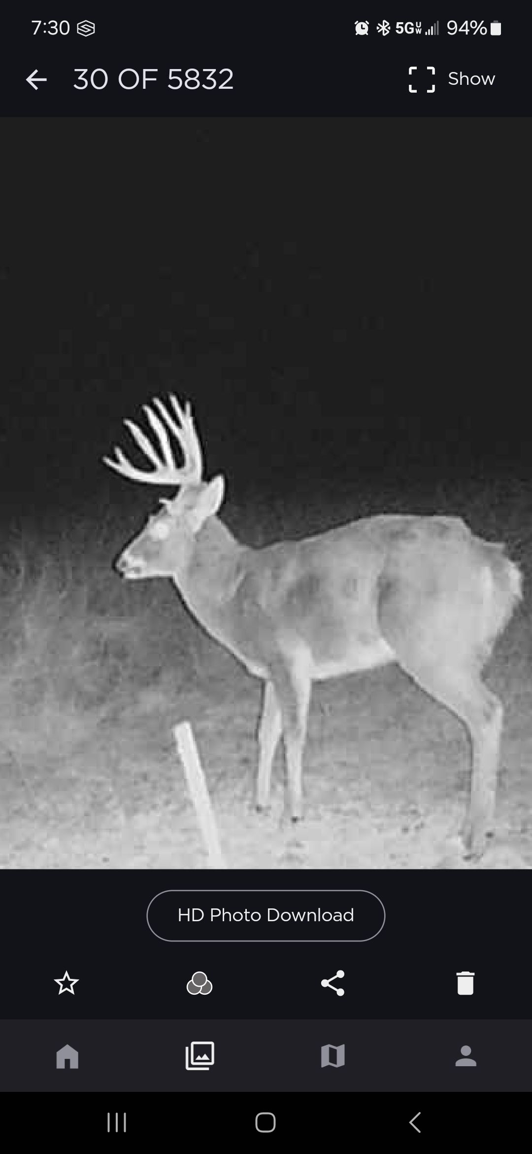 deer hunting