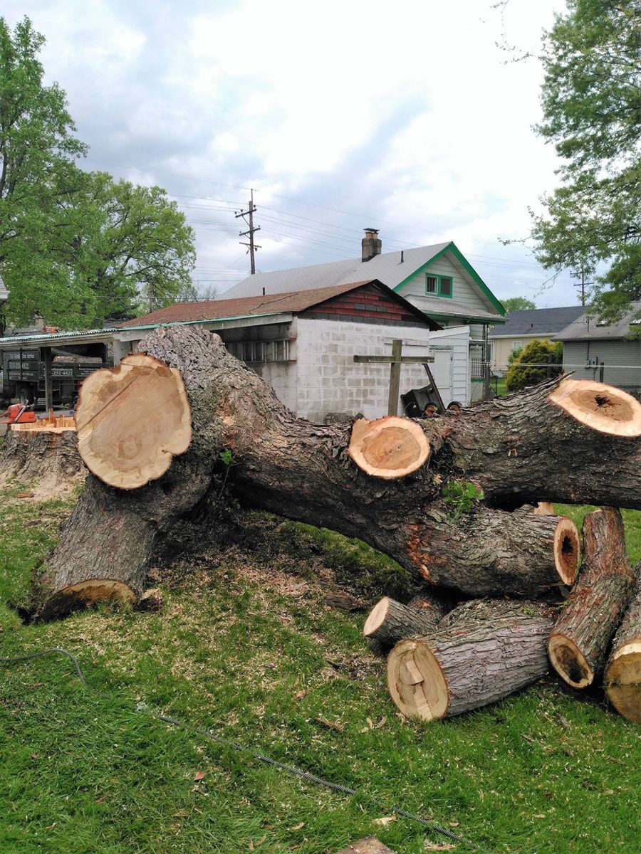 Pile of Logs — Cincinnati, OH — Cincinnati Arbor Services