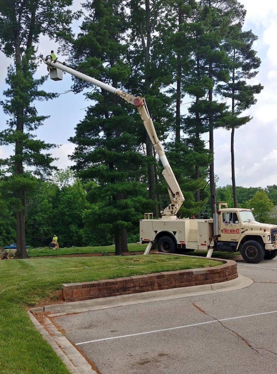 Truck with a Crane — Cincinnati, OH — Cincinnati Arbor Services
