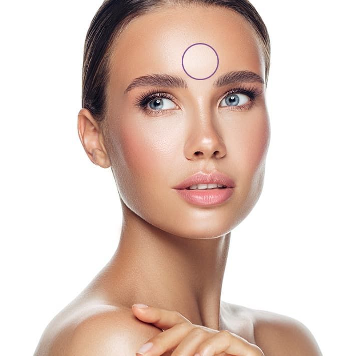 Model face map