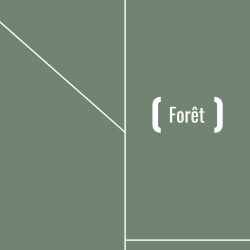 Mapa gráfico verde con la etiqueta “Forêt”, con líneas y bordes blancos.