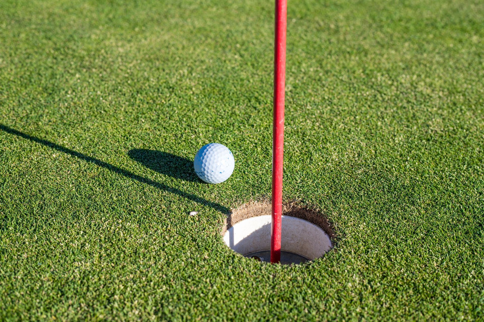 Backyard putting green on artificial grass