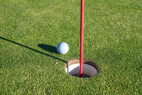 Backyard putting green on artificial grass