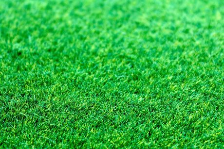 Eco-focused artificial grass