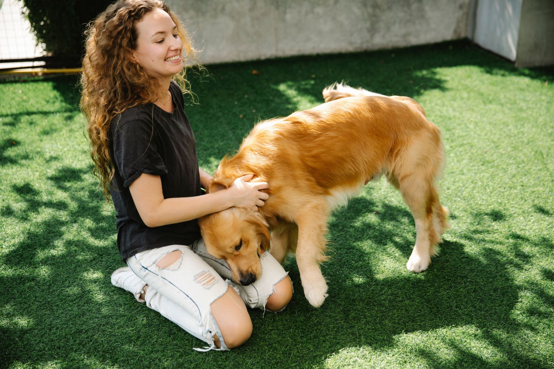 Lady and dog playing on Artificial Grass