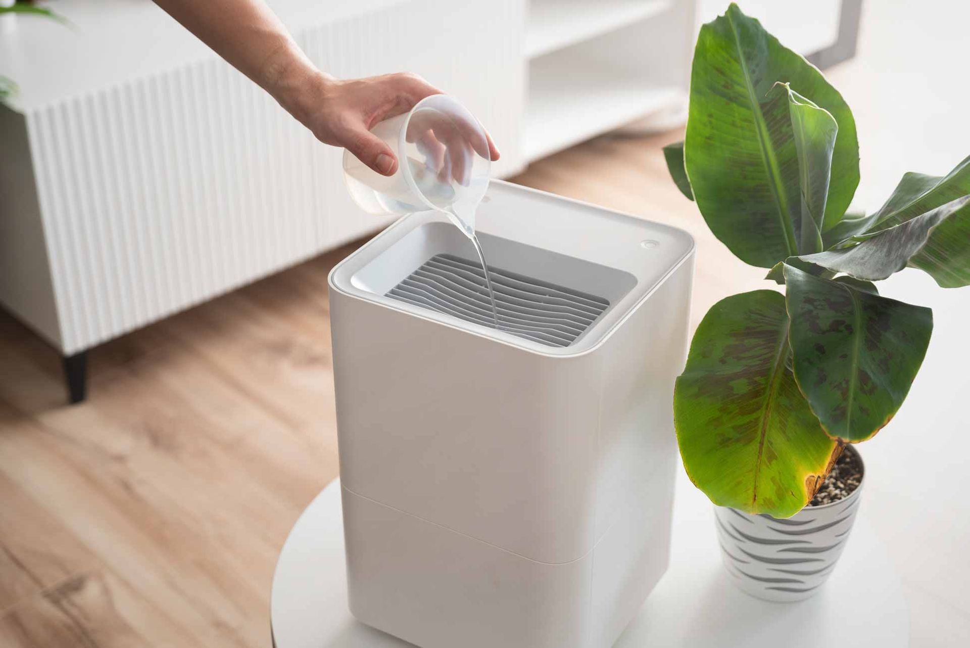 Hand placing a filter in a white air purifier beside a potted plant on a wood floor