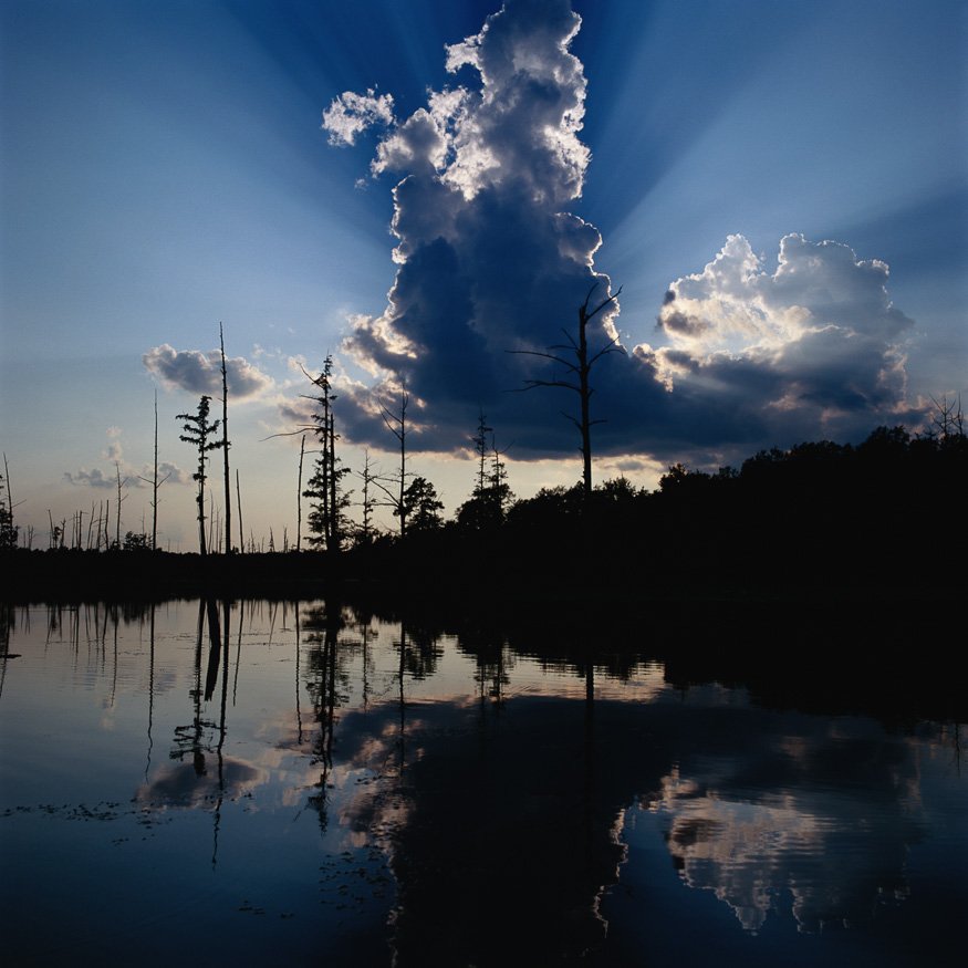 Hawkins Photography gallery