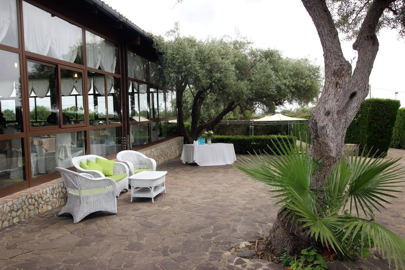 Patio con sedie in vimini bianche, piante in vaso e un edificio con pareti in vetro accanto a un giardino alberato.