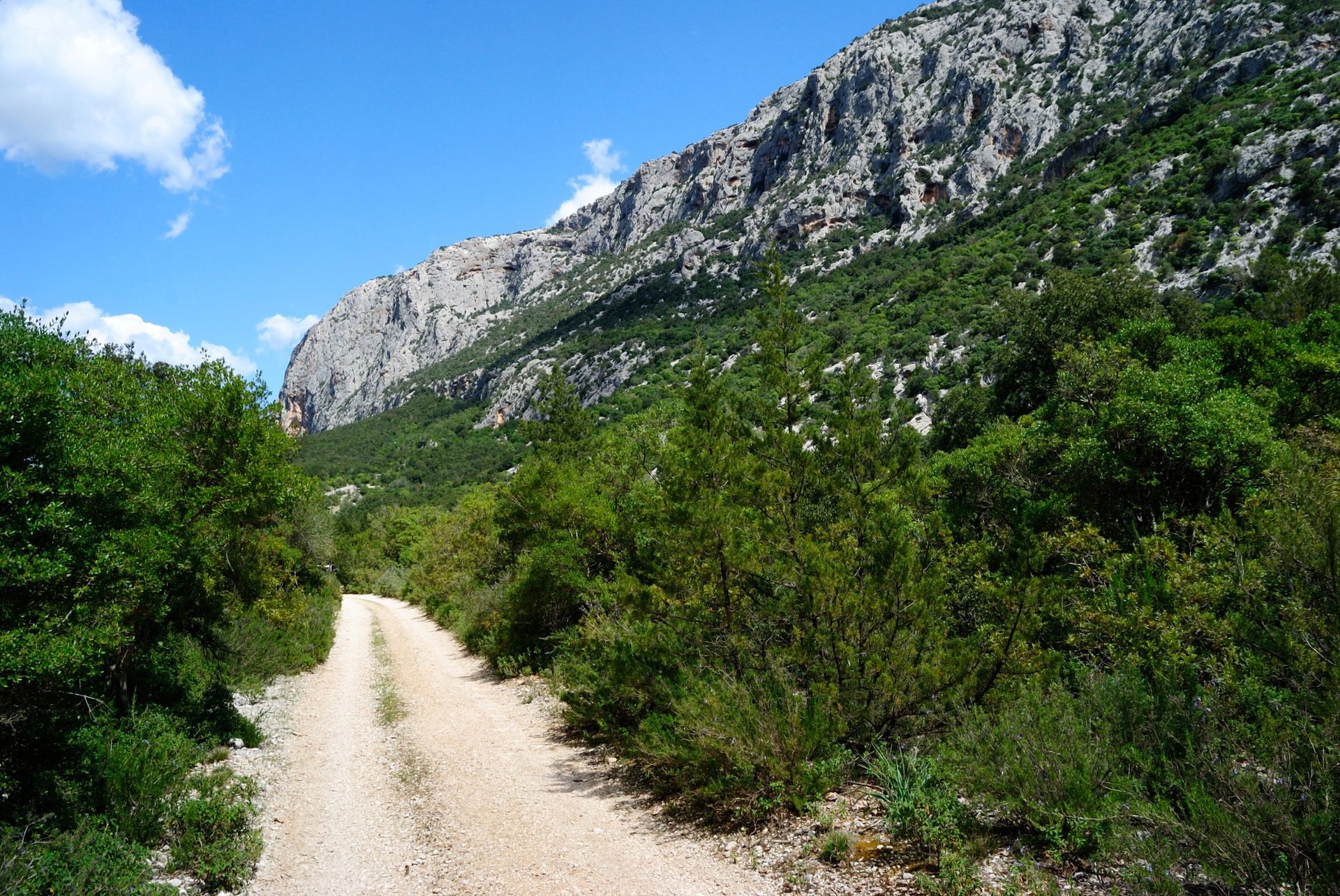 Sentiero sterrato tra cespugli verdi ai piedi di una montagna rocciosa sotto un cielo azzurro