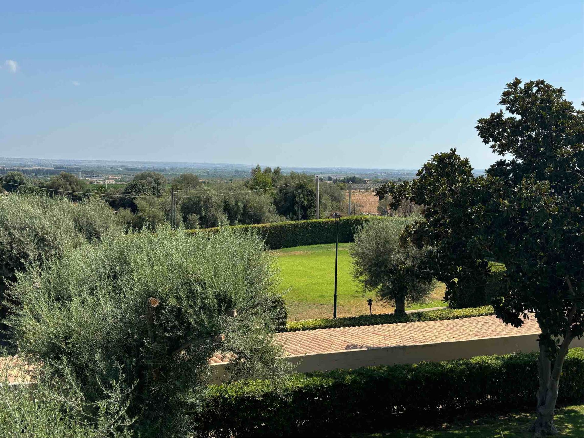Paesaggio soleggiato con alberi, una strada e un orizzonte lontano sotto un cielo azzurro e limpido.