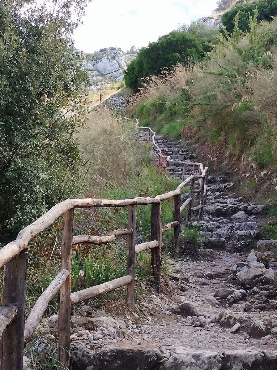 Ripido sentiero roccioso con corrimano in legno, circondato da cespugli e alberi verdi.