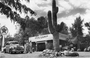 A black and white photo of a gas station with a cactus in front of it
