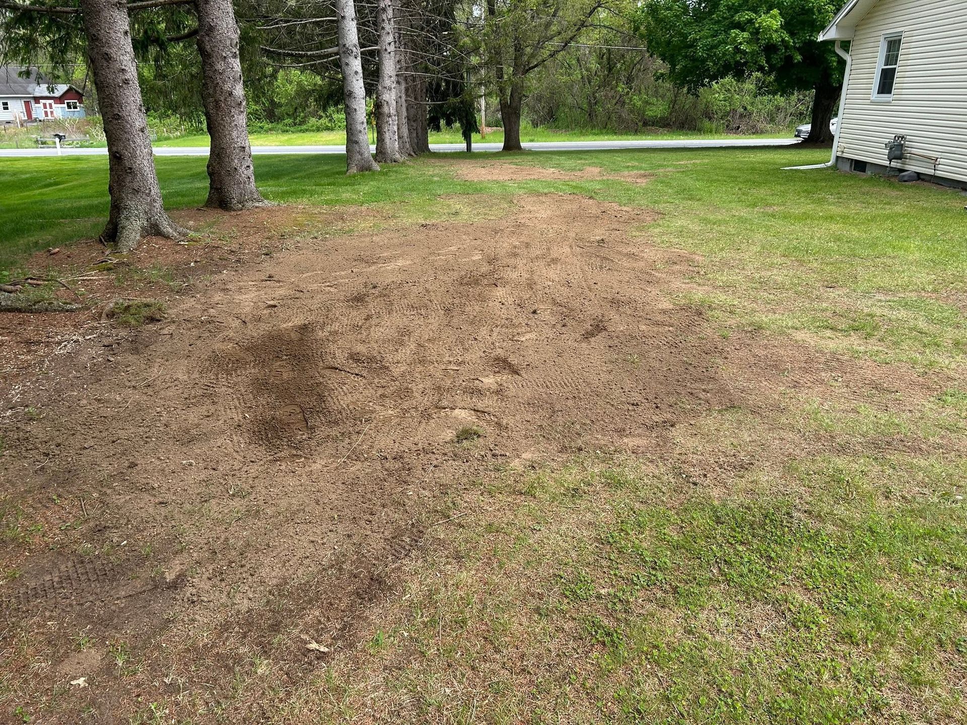 Stump Removal 1