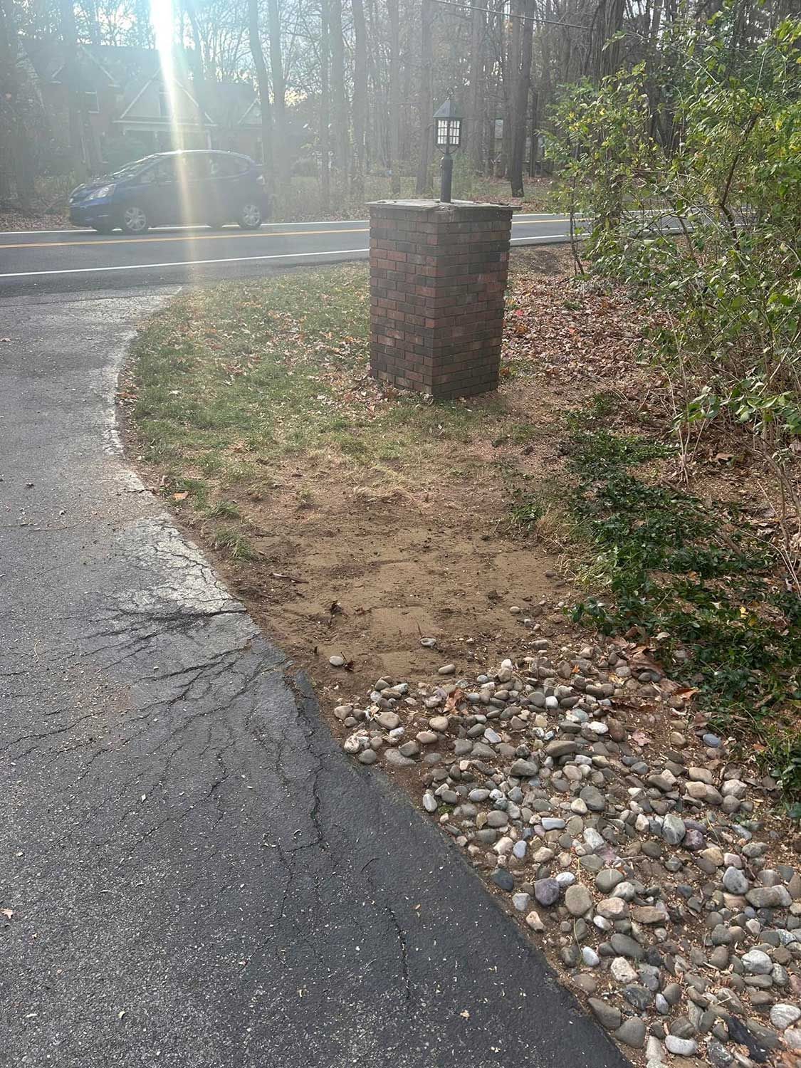 stump grinding services 1 after