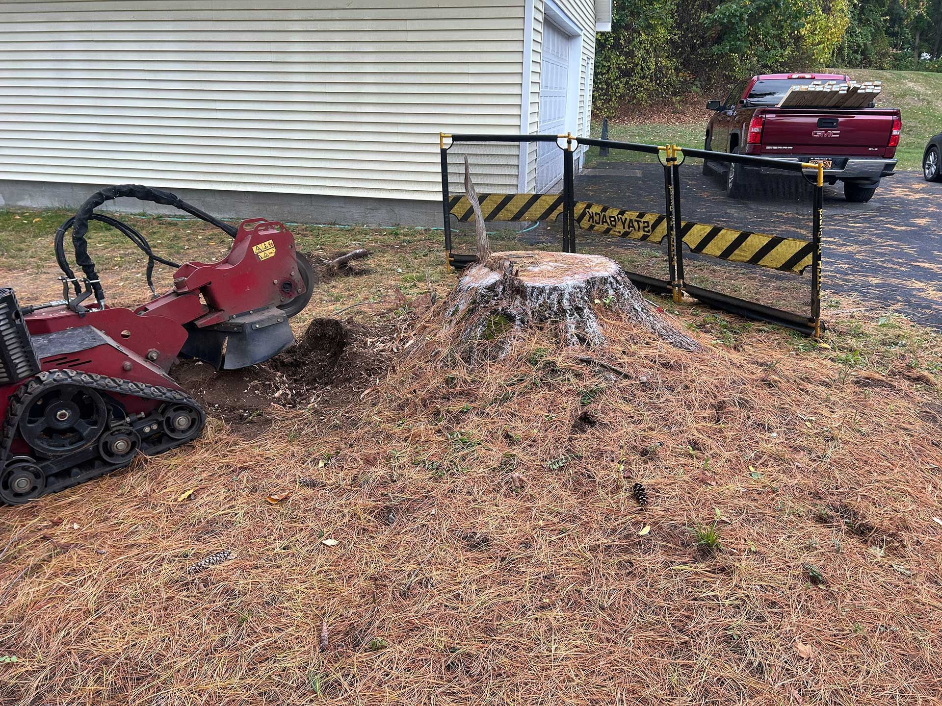 stump grinding services 2 before
