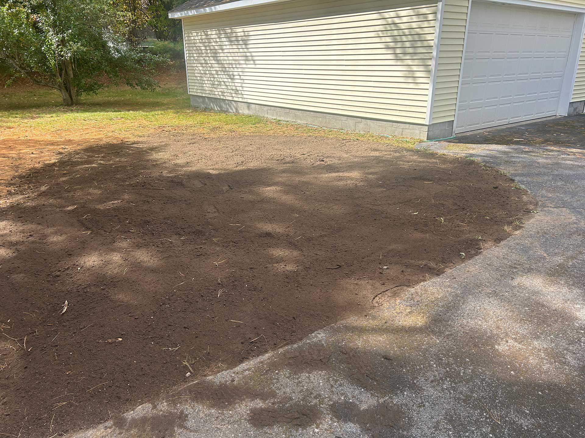 stump grinding services 2 after
